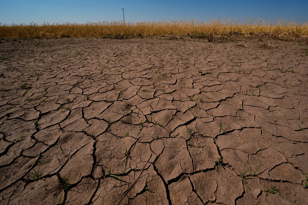Met Office climate spokesman Grahame Madge said El Nino will be a ‘significant event’ and ‘possibly one of the strongest we’ve had in recent decades’ (AP)