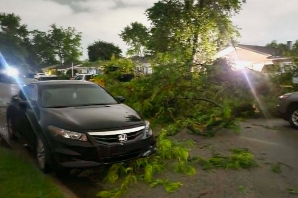 Damaged tree branches lie on a street in Elkhart, Indiana (AP)