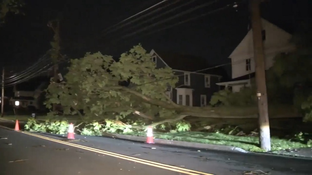 This frame grab from video shows a downed tree after storms struck Amherst, Ohio, west of Cleveland (AP)