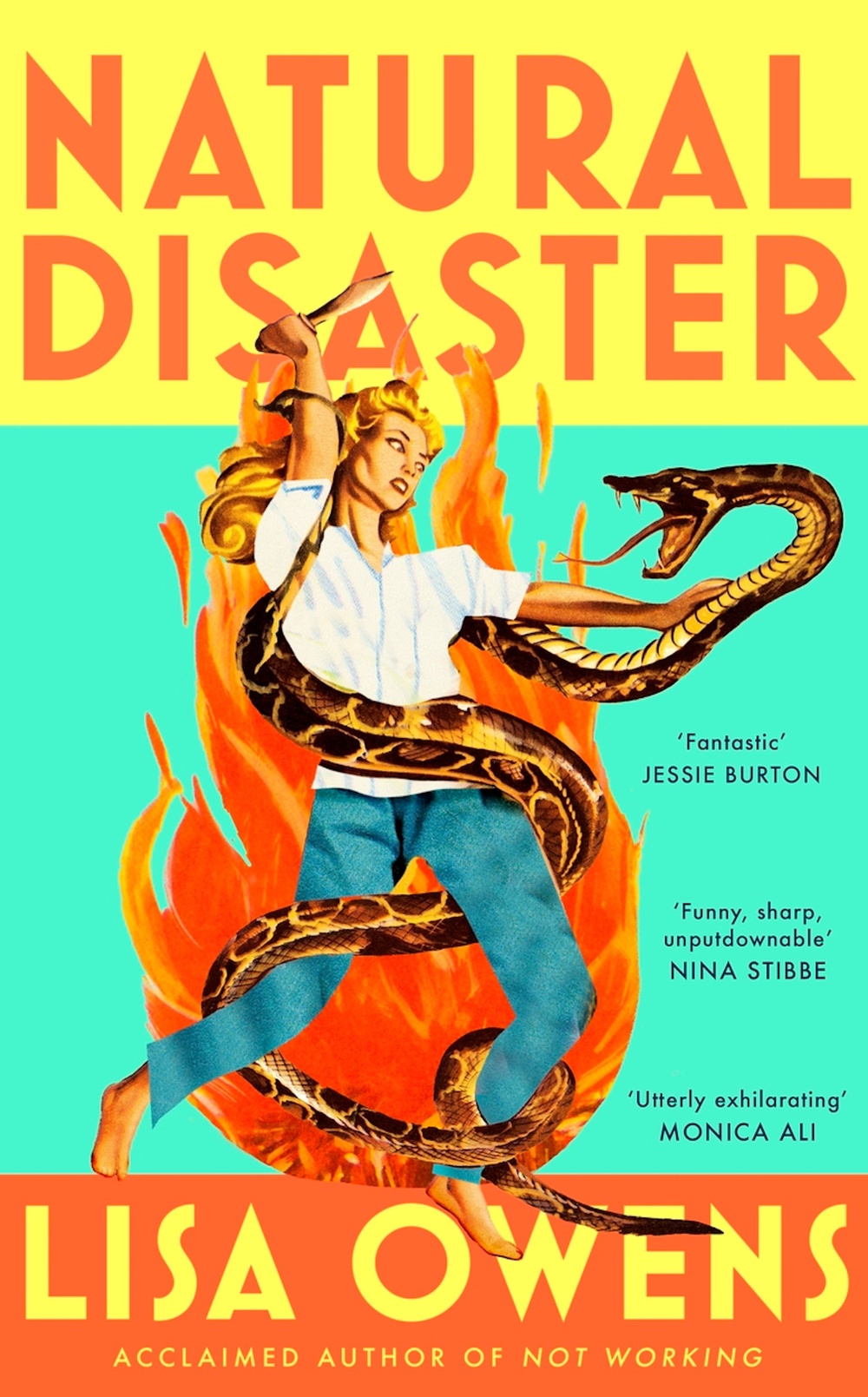 ‘Natural Disaster’ by Lisa Owens (Virago)