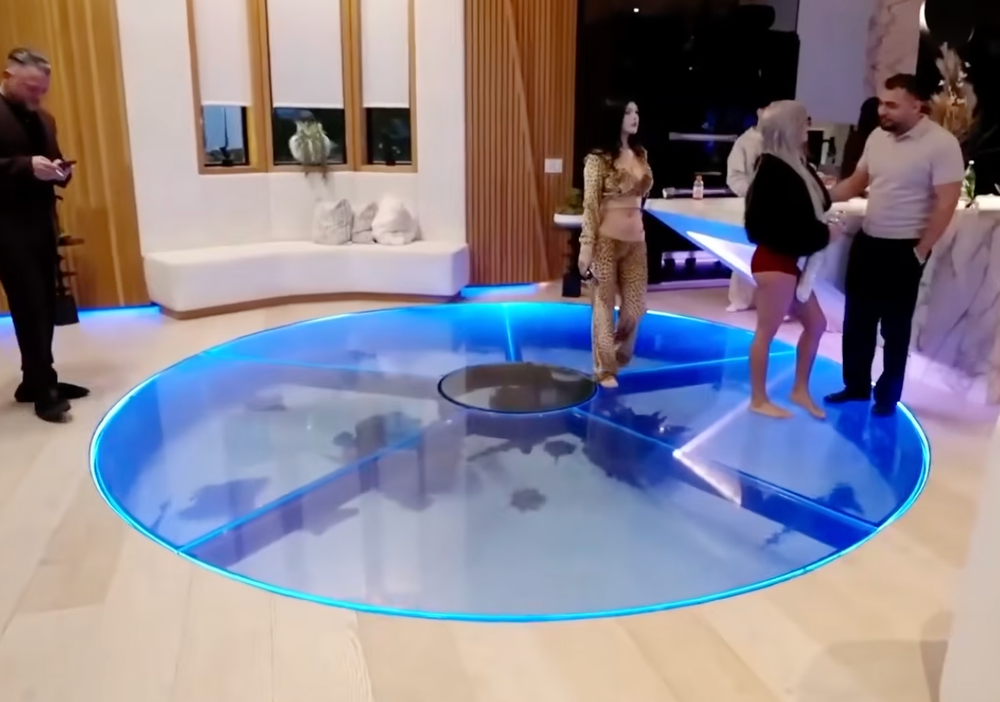 Jason Derulo’s underground shark and ray tank inside his California home (N3on/YouTube)