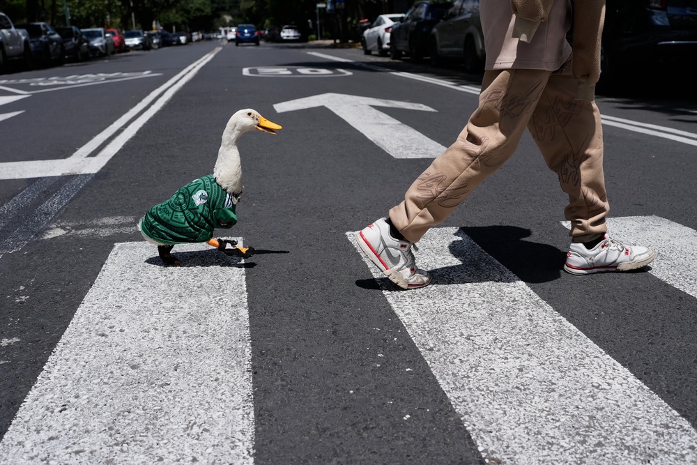 Images of Merlin parading through Mexico City, wearing a Mexican national team jersey as thousands of fans celebrated,  racked up millions of views across social media. (AP)