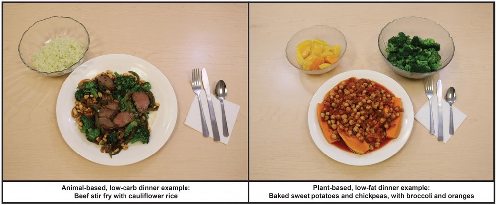 Keto diet (NIH)