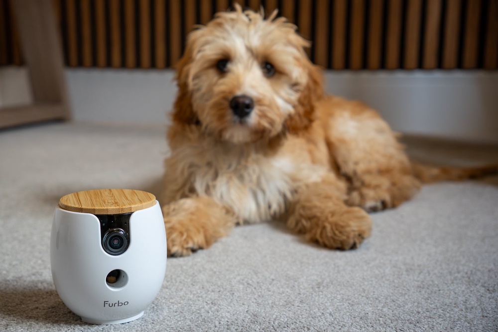 Image from: This treat-tossing pet cam will play calming sounds when your dog cries