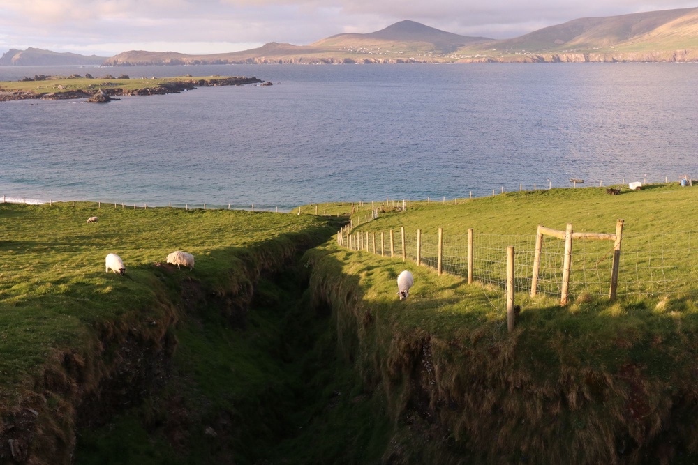 Aisling and Conor spoke of the island’s ‘magic’ (Daniel Gayne)
