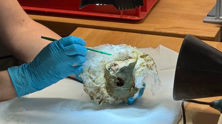 Remains found at Iron Age archaeological site in Germany (Hessian Ministry of Science and Research, Art and Culture NEWS)