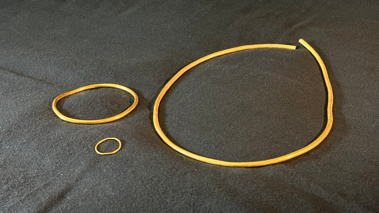 Gold jewellery unearthed at Iron Age archaeological site in Germany (Hessian Ministry of Science and Research, Art and Culture)
