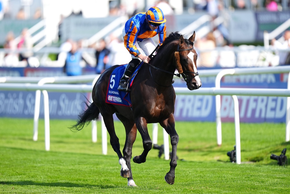 Scandinavia is a hot favourite for the Gold Cup at Royal Ascot (Mike Egerton/PA) (PA Archive)