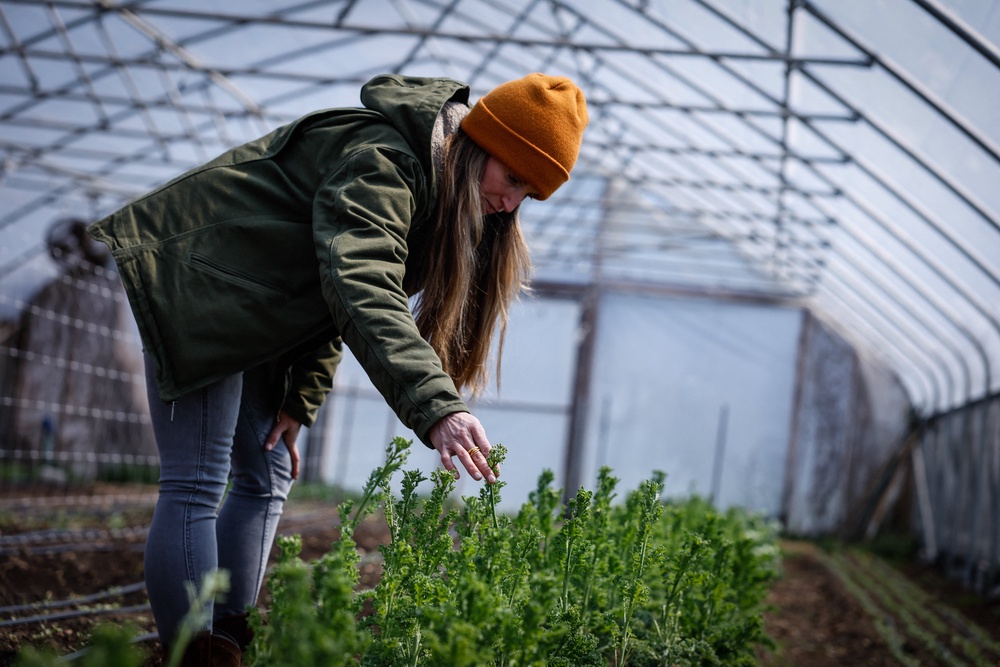 A woman checks on Kale plants at the Cropsey Community Farm greenhouse in New City, New York, last April. Kale and other leafy greens help to regulate blood sugar levels (AFP via Getty Images)