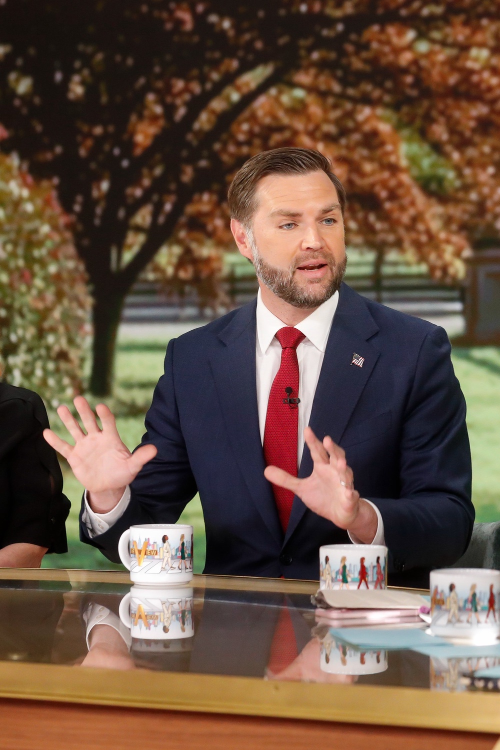 Vance went on the talk show, known for its liberal co-hosts, to promote his new memoir about his Catholic faith (AP)