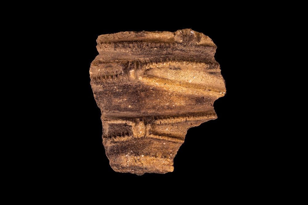 Neolithic woodlands pottery Found in Bulford, Wiltshire (Wessex Archaeology)