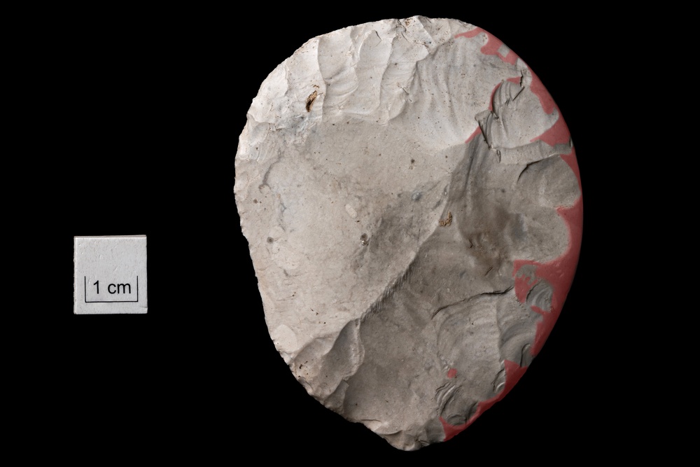 A disc-shaped flint knife found at Bulford by Phil Harding of Wessex Archaeology (Wessex Archaeology)