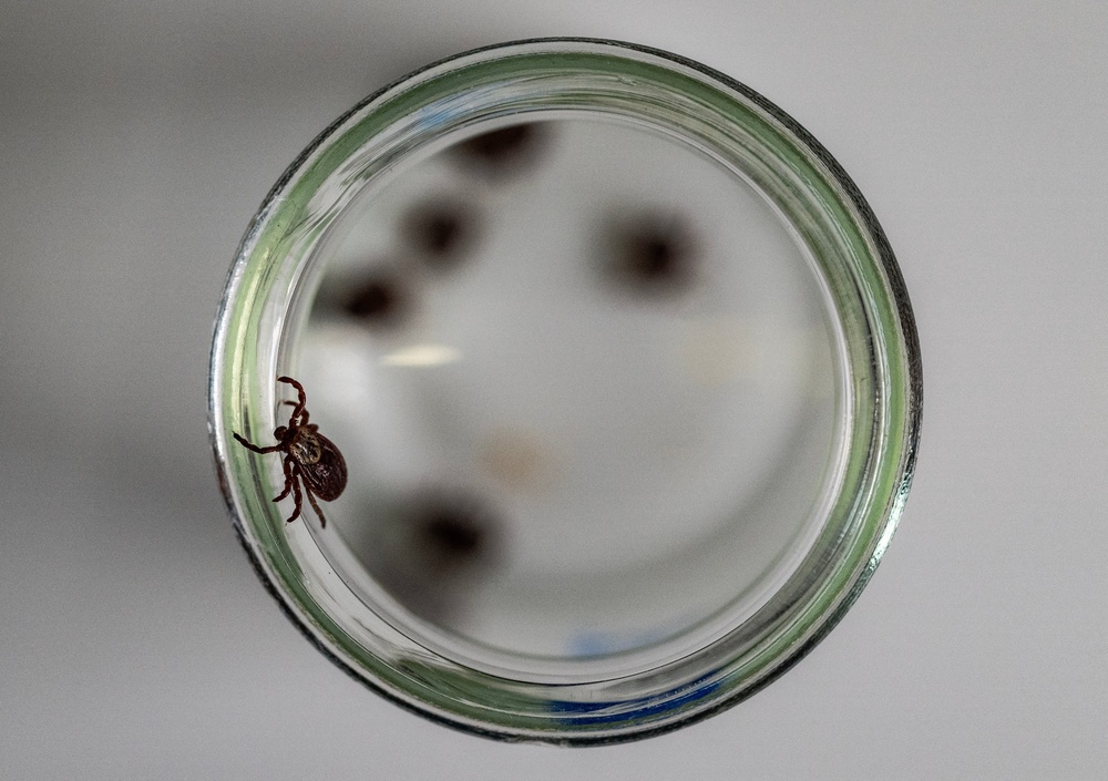 According to the World Health Organisation, Crimean-Congo haemorrhagic fever is endemic in Africa, the Balkans, the Middle East and Asia (AFP/Getty)