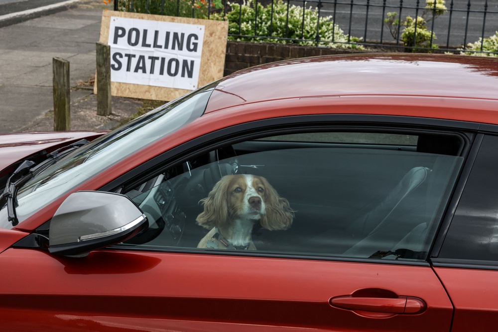 A dog waits in the car for its owner as they visit a makeshift polling station at a parish centre to cast their vote in Winstanley, Wigan (AFP/Getty)