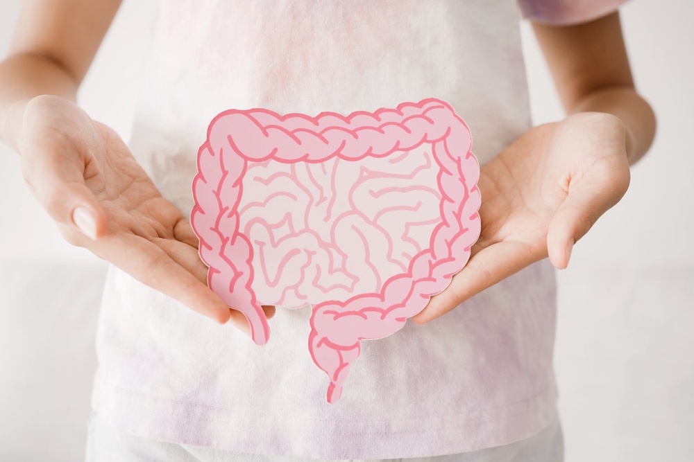 Our gut is home to trillions of microbes, which Spector describes as ‘little mini pharmacies’ working together (Getty/iStock)