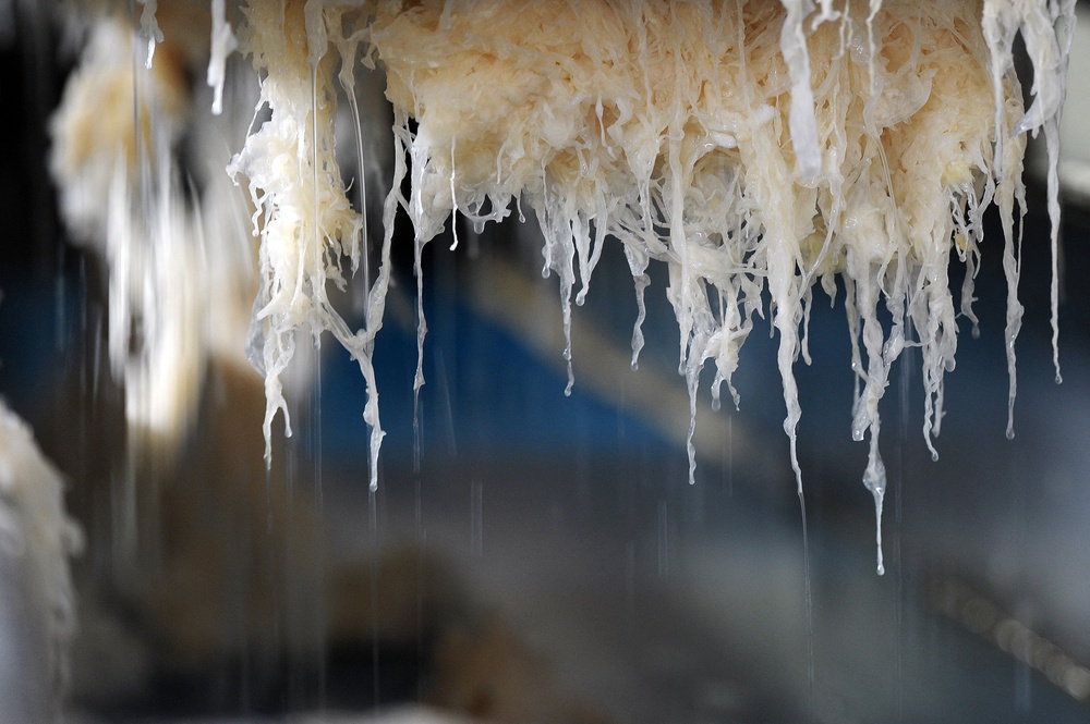 Kennedy, who has dabbled in several fad diets over the years, was reportedly the first to convert to the sauerkraut method a year ago, while Vance reportedly committed over Lent but has stuck with it (AFP via Getty Images)