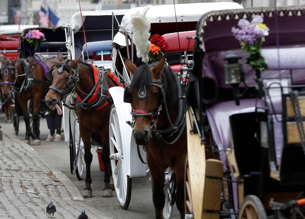 Some argue that the carriages are a public safety hazard in the increasingly crowded park, noting that other U.S. cities, including Chicago and San Antonio, have also recently done away with the nostalgic rides (AP Photo/Seth Wenig)