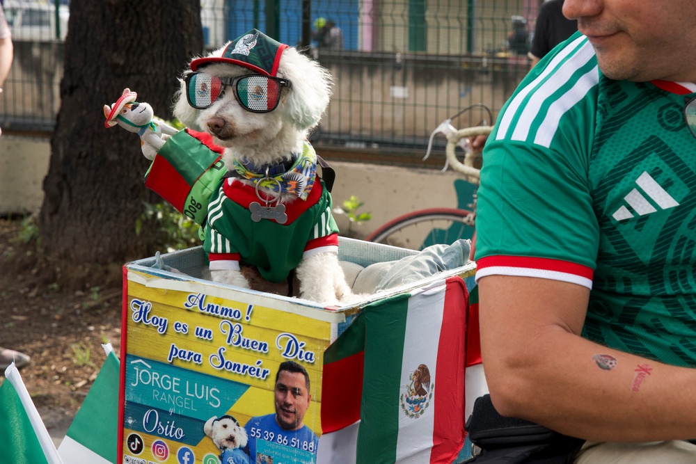 They travel together on a specially adapted cargo bicycle, where Osito sits calmly in a back compartment, greeting passersby and drawing smiles from strangers (AP)