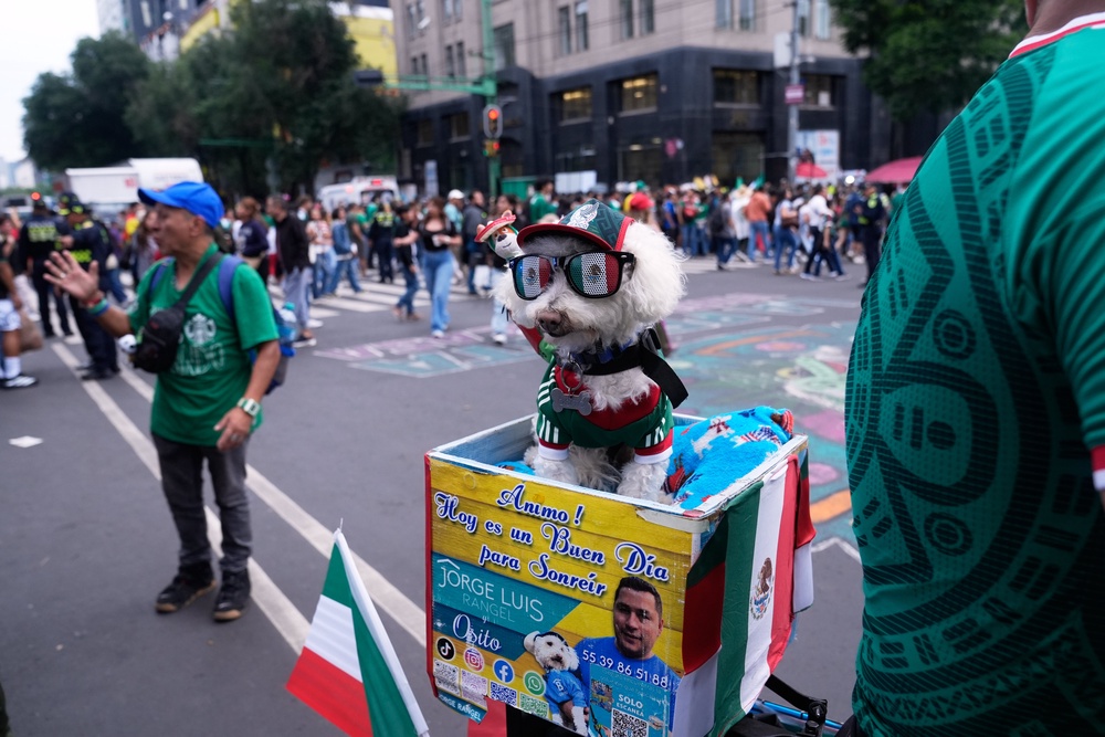For his owner, Jorge Rangel, the attention is less about internet fame than the companionship he shares with the dog who accompanies him almost everywhere (AP)