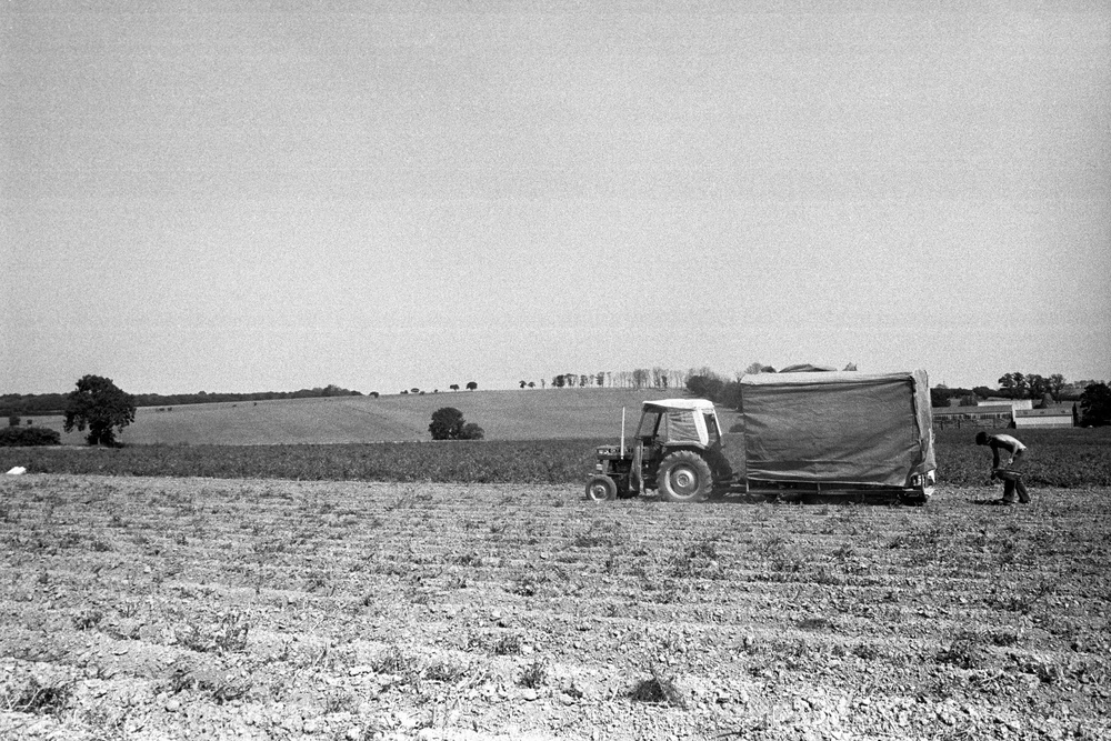 A farmer tends to his drought-hit farmland at Broad Oak, Kent, in 1976 (PA) (PA Wire)
