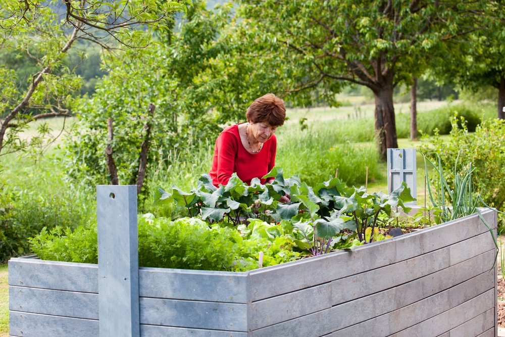 If you bring things closer to your natural resting position, such as raised beds or climbing plants, it will prevent you stooping in the garden (Alamy/PA)