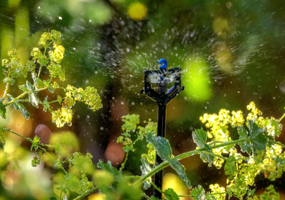 If you don’t want to spend hours with a hosepipe or a watering can, invest in an automatic irrigation system (Alamy/PA)