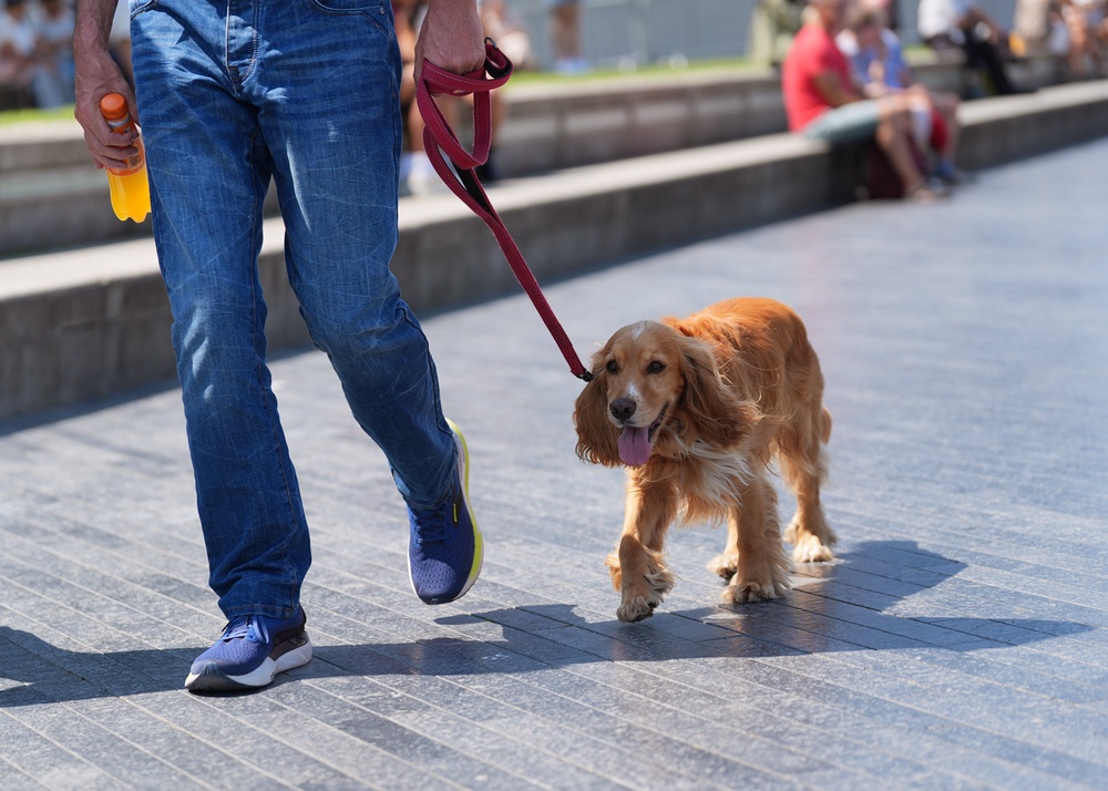 The RSPCA has previously cautioned dog owners against walking their pets in hot weather (PA)