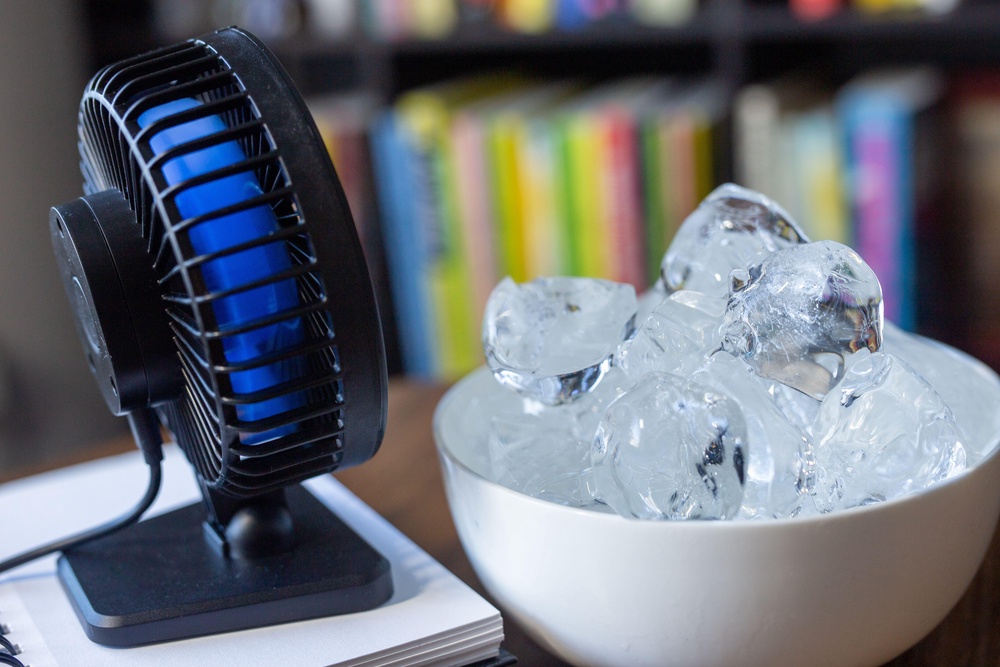 Fan pointed at bowl of ice (Alamy/PA)