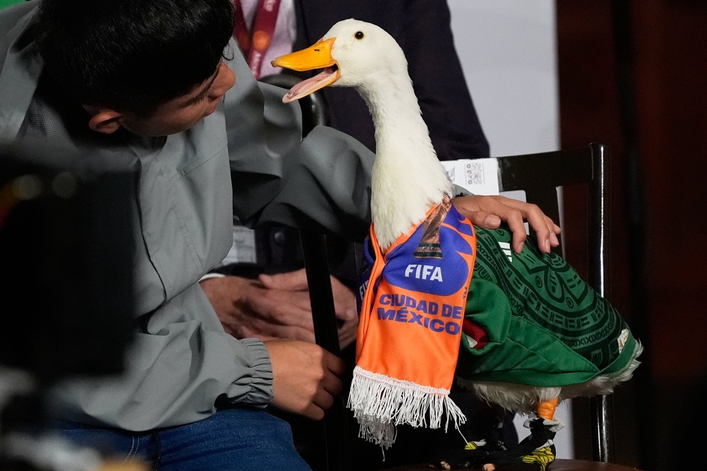 FIFA regulations prohibit animals from entering venues to safeguard their well-being (AP Photo/Marco Ugarte)