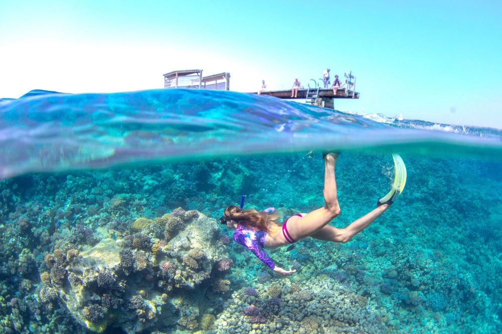 Marine life thrives within the protected Somabay peninsula (Somabay)