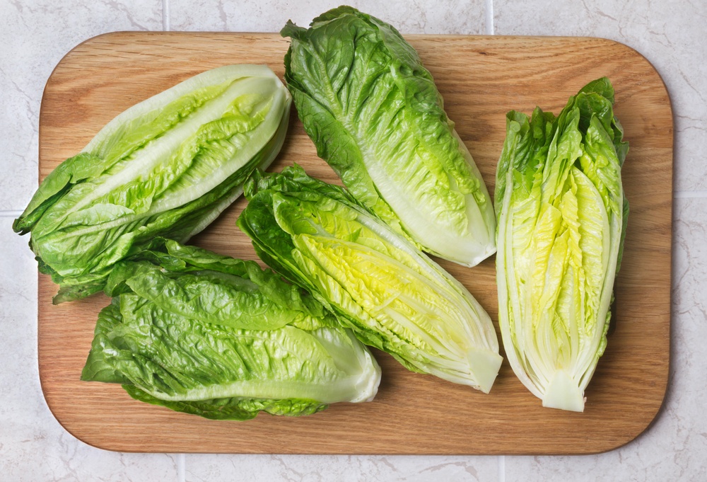 Romaine lettuce offers a superior nutritional and fibre profil (PA)