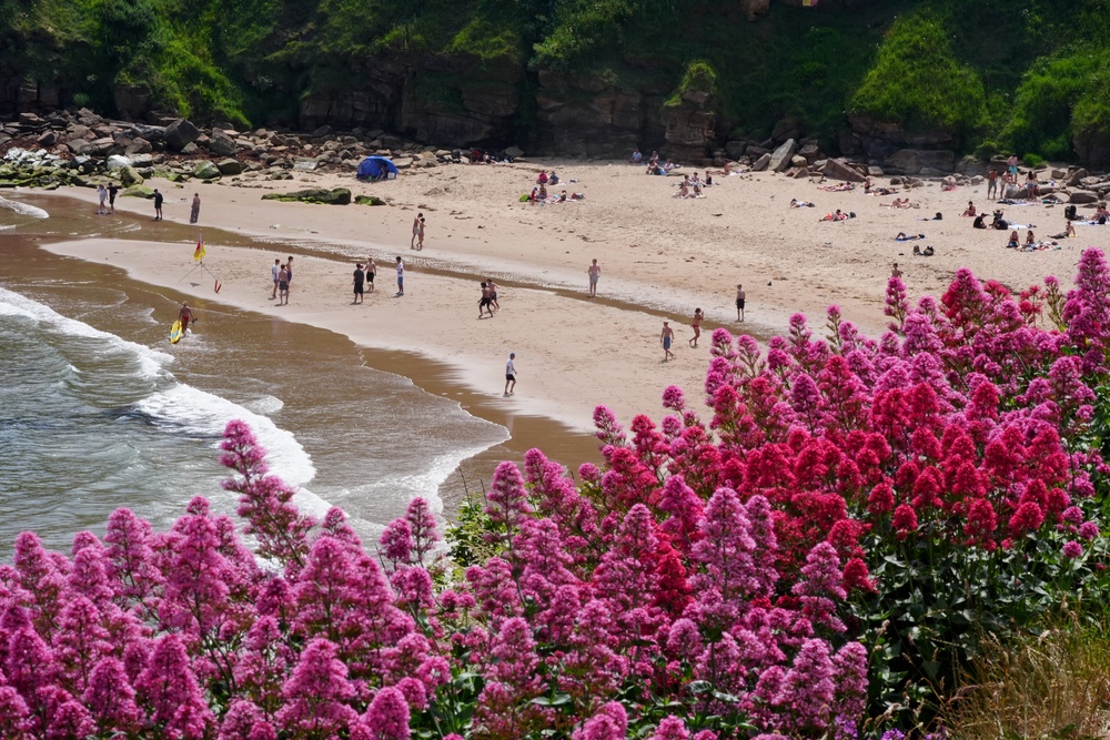 People enjoying the sun at King Edward’s Bay, Tynemouth, on the north-east coast of England (Owen Humphreys/PA) (PA Wire)