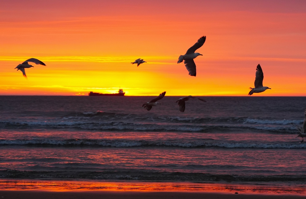 Sunrise at Tynemouth before the day warned up (Owen Humphreys/PA) (PA Wire)