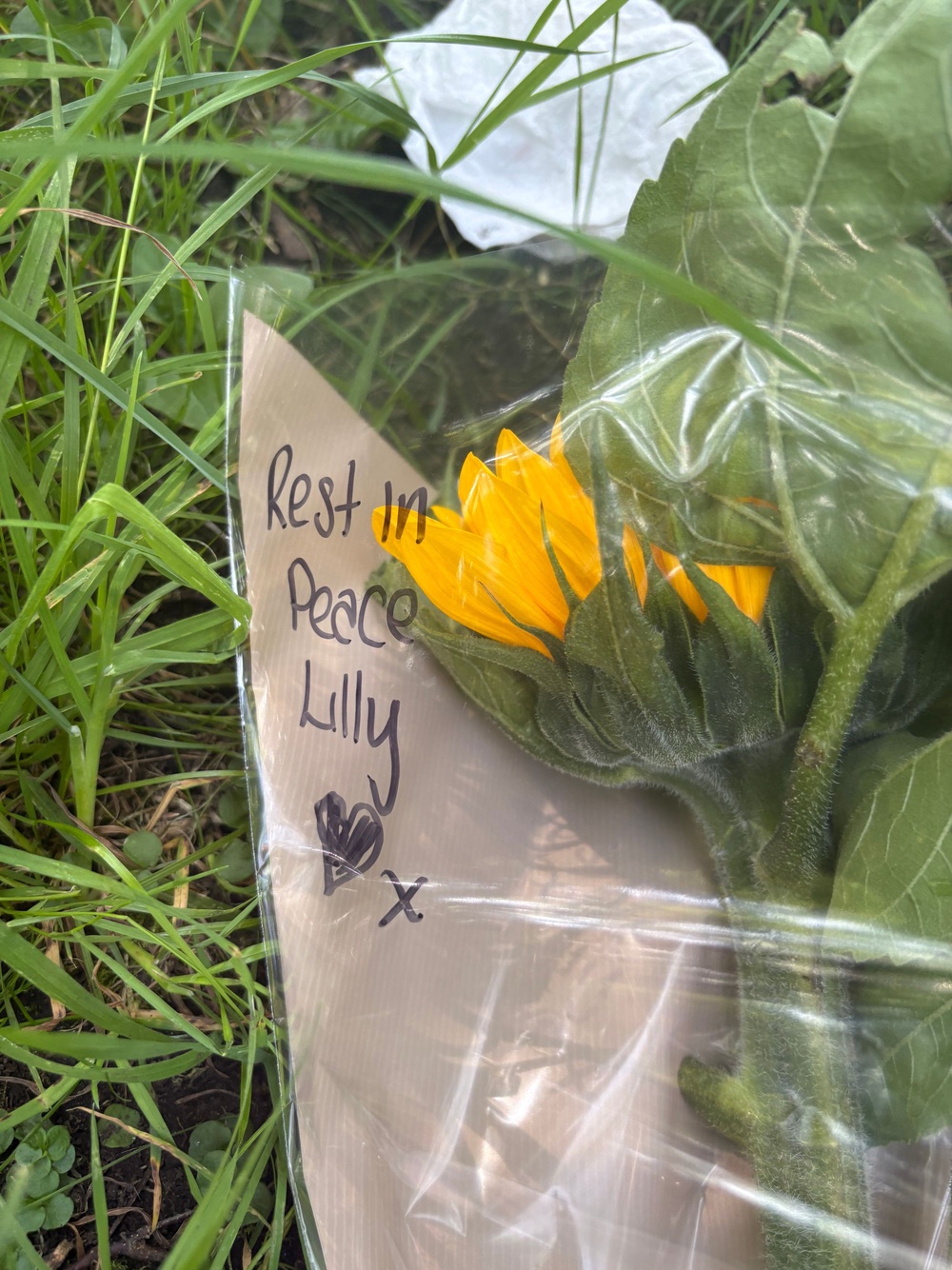 Floral tributes left near Pilgrims Park in Blaina, Gwent, following the discovery of missing 14-year-old Lilly on Monday night (PA)