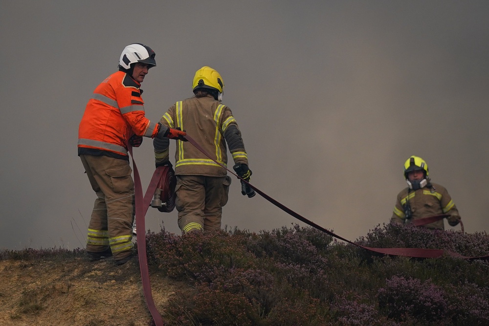 Extreme scenarios ‘could challenge our capabilities and our capacity,’ Forestry Commission advisor Rob Gazzard said (Ian Forsyth/Getty Images)
