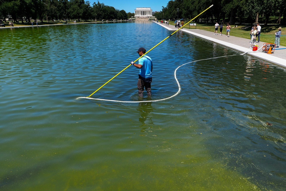 Algae turned the Lincoln Memorial Reflecting Pool green just days after renovations on the basin were completed (Getty Images)