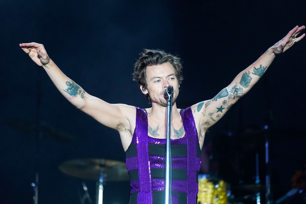 Harry Styles admitted to engaging in some low-key hermitting after his last tour (PA)