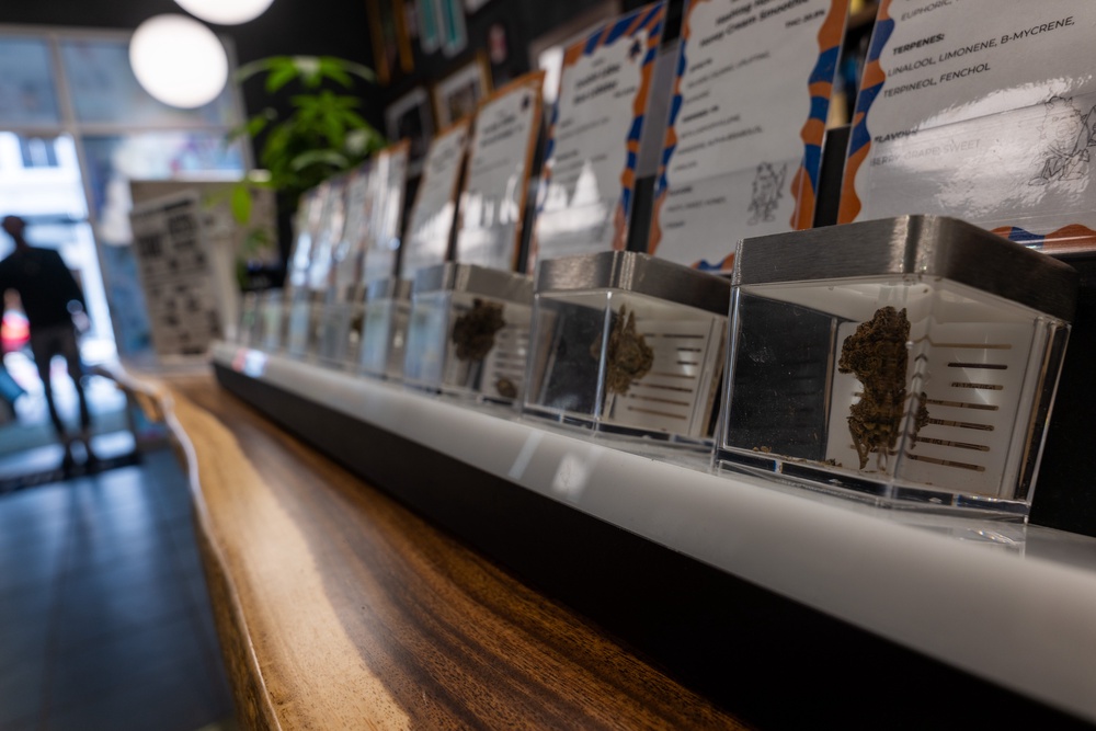 Anti-cannabis activists in Massachusetts have been collecting petition signatures, hoping to secure a referendum that could reverse its legalization (Getty Images)