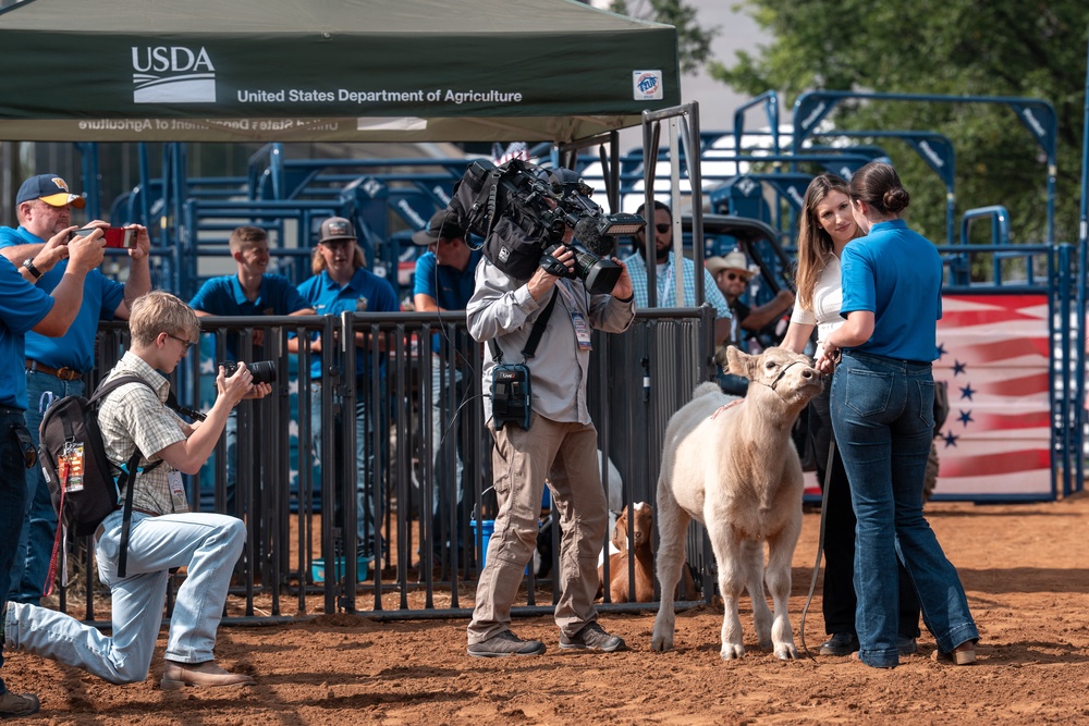 On Friday, a Future Farmers of America member brought a cow named Melania to the event as a tribute to the first lady (Getty)