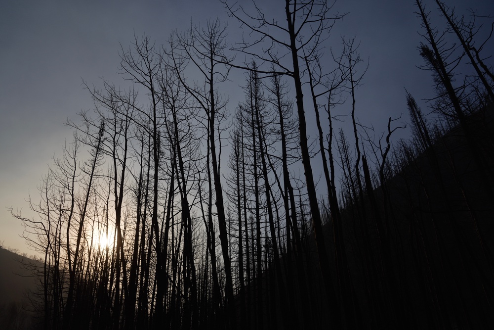 The Cottonwood Fire ballooned to more than 144 square miles (373 square kilometres) after marching through canyons and mountainsides
