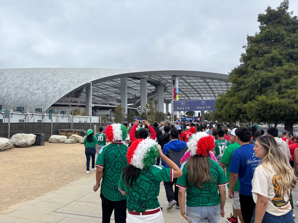 Mexico fans at the World Cup last-32 game in LA (Kieran Jackson/The Independent)