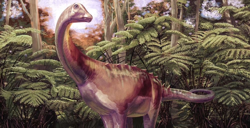 This dinosaur is estimated to have roamed the region 82 million years ago during the Late Cretaceous Period (Andrew McAfee/Carnegie Museum of Natural History)