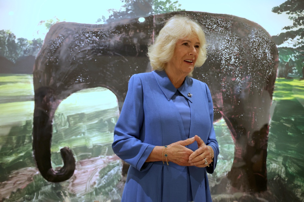 Queen Camilla enjoyed talking to artists about their work and cut a special cake to celebrate the RSA’s 200th anniversary (Steve Welsh/PA) (PA Wire)