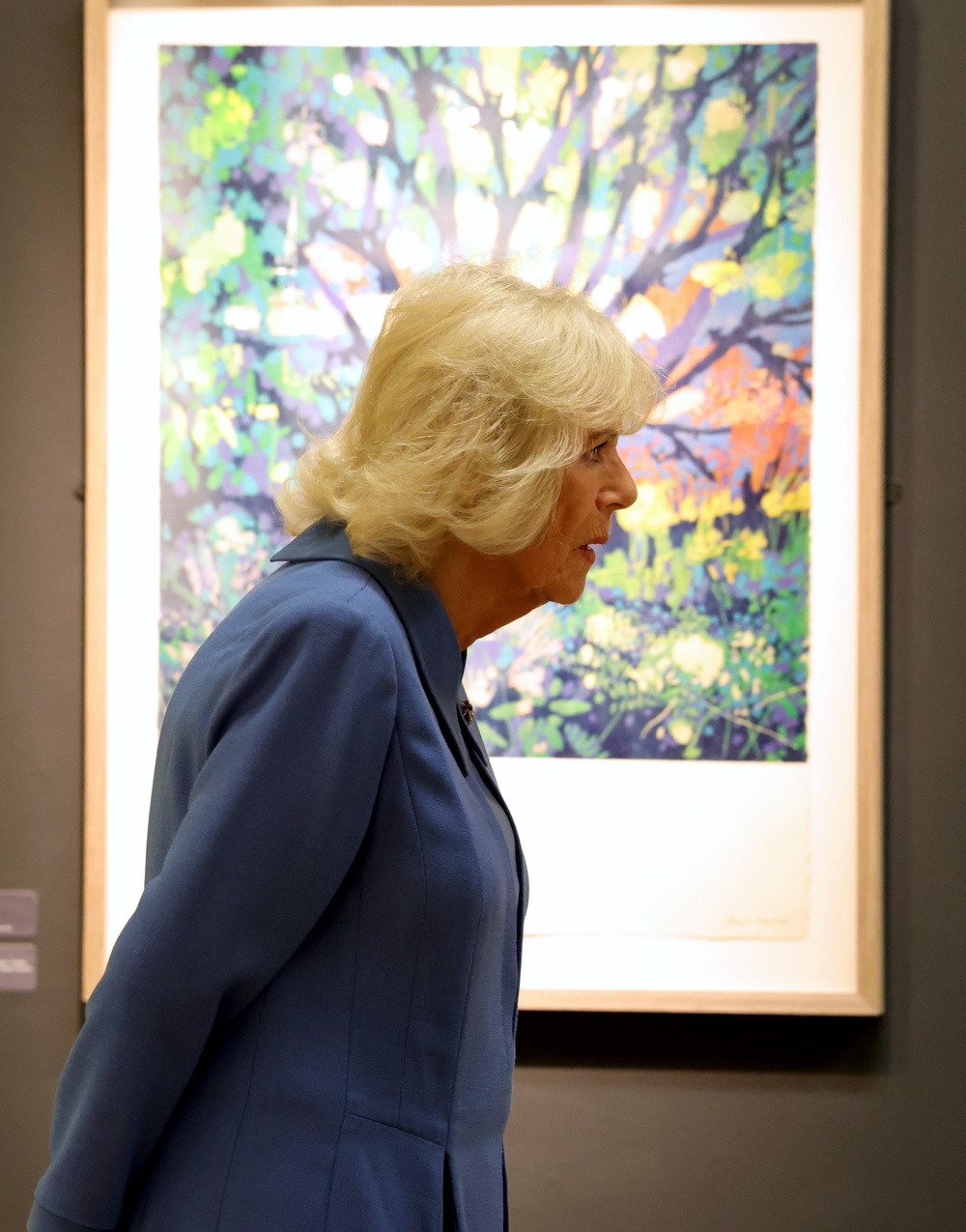 Camilla said she ‘didn’t have the talent or the time’ to paint, but that she does enjoy looking at artworks by other people (Steve Welsh/PA) (PA Wire)