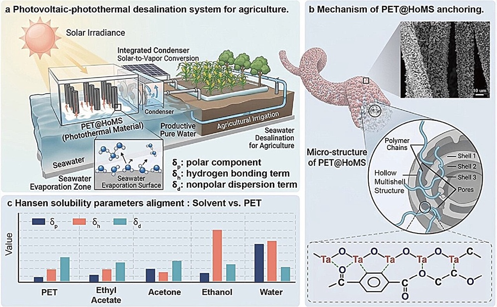 Schematic illustration of the desalination system (Yu Dan)