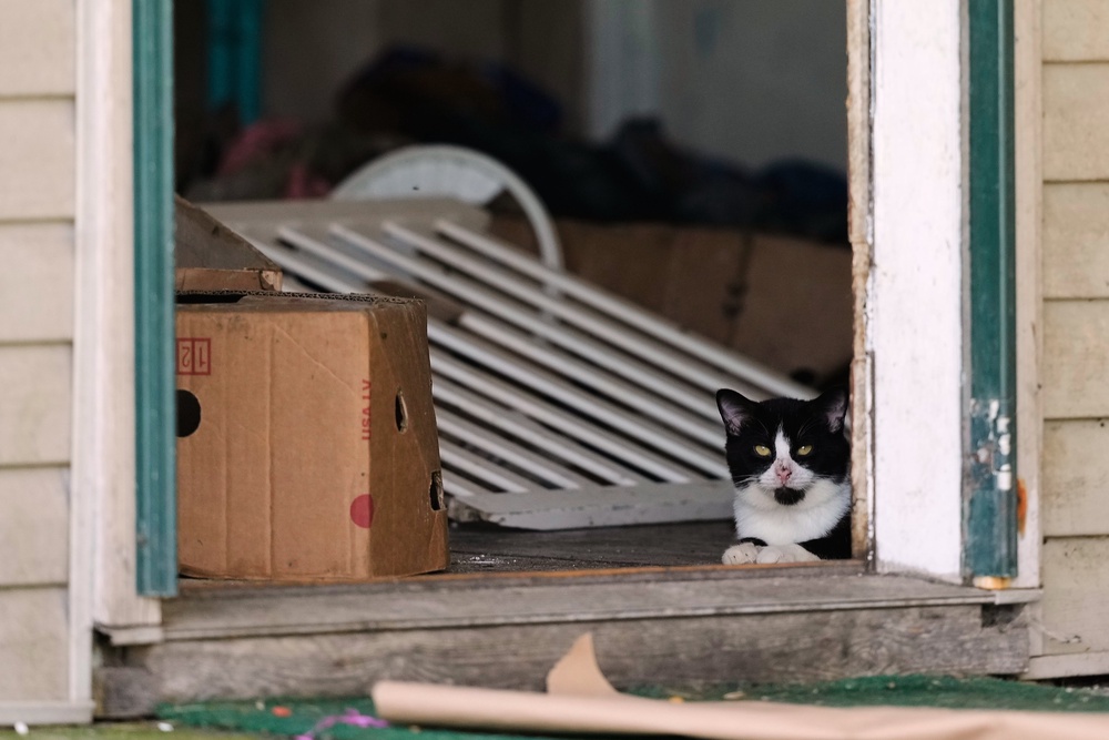 The house in the tiny rural village of Hamden was found to be overrun with trash (AP)