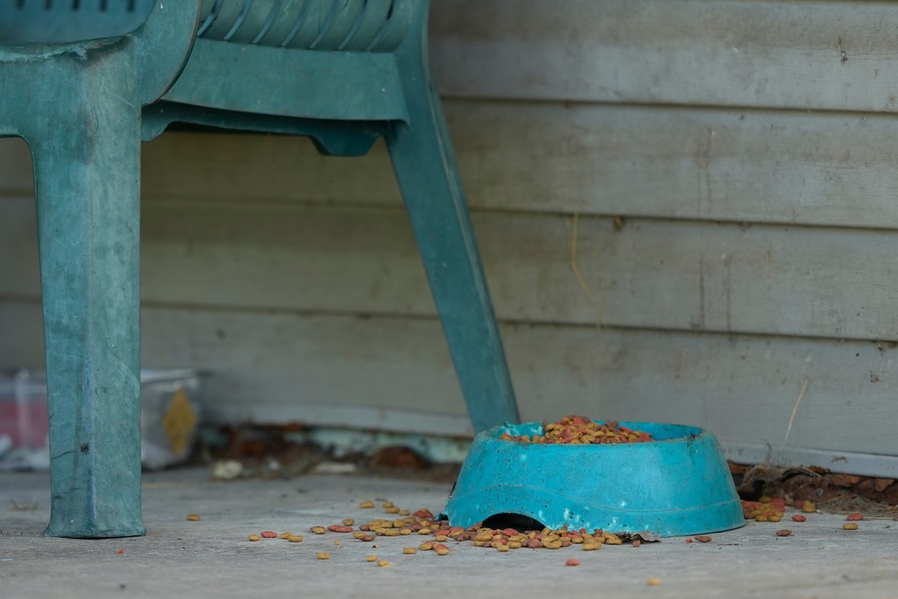 Pet food was seen left in bowls on the property’s porch (AP)