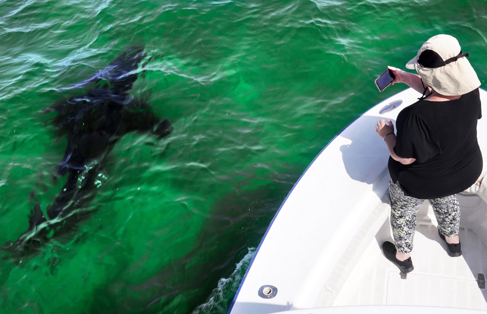 Federal Shark Alerts (Copyright 2021 The Associated Press. All rights reserved.)