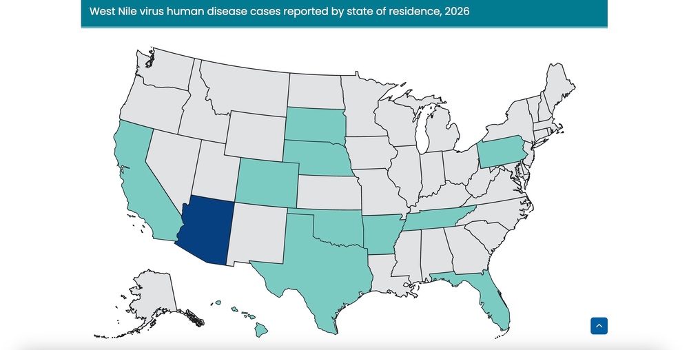 Arizona, in dark blue, has seen the most cases of West Nile virus this year. The states in turquoise have also seen 1-5 cases (CDC)