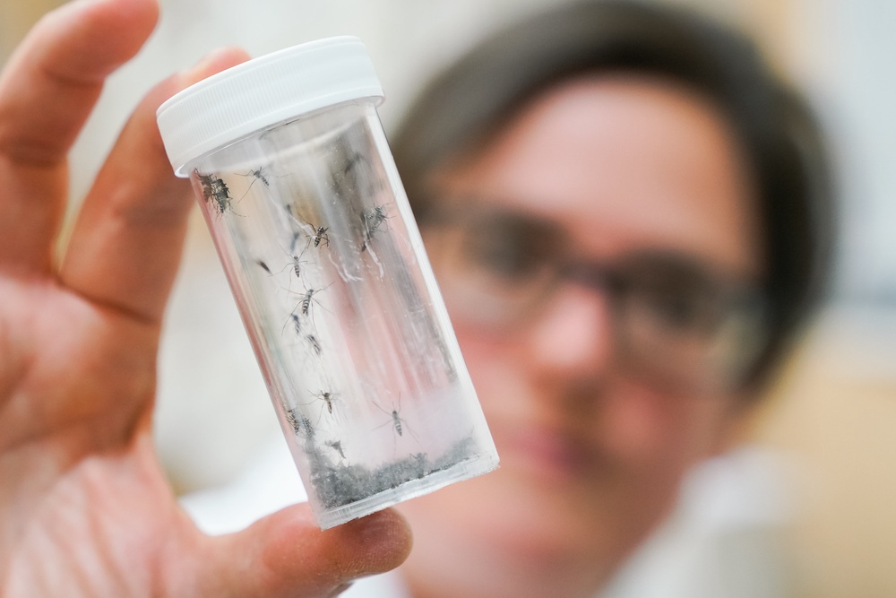 Tests to determine the mosquito’s origin are underway (Getty)